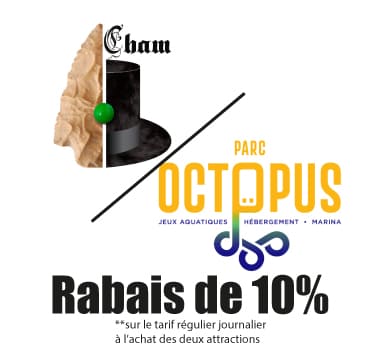 Logo tarif forfaitaire avec le parc Octopus