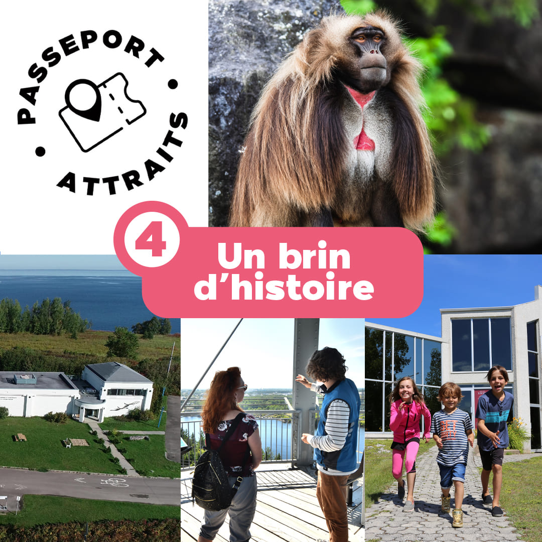 Passeport zoo Saint-Félicien